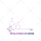 有限会社　√65の【Tetrahydrocannabinol】 くるぶしソックス