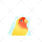 まめるりはことりのほんわかコザクラインコ　ルチノー【まめるりはことり】 くるぶしソックス