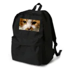 保護猫支援ショップ・パール女将のお宿のネコちゃんを背負ってます Backpack