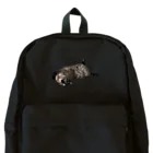 QDAのSly Backpack