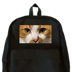 保護猫支援ショップ・パール女将のお宿のネコちゃんを背負ってます Backpack