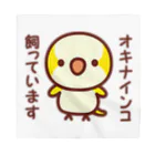 いんこ屋堂のオキナインコ飼っています（ルチノー） Bandana