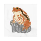 LalaHangeulのTOAD (ヒキガエル) 英字バージョン Bandana