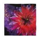 Tae_Morikawaのsafflower red Bandana