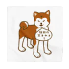 日々好日屋2号店の秋田犬 Bandana