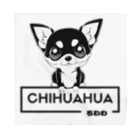 furebuhi　clubの白黒美犬、おすわりチワワ バンダナ