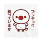 いんこ屋堂のブンチョウ飼っています（白文鳥） Bandana