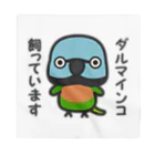 いんこ屋堂のダルマインコ飼っています（メス） バンダナ