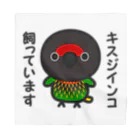 いんこ屋堂のキスジインコ飼っています Bandana