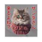 てくのちゃんのサンタを信じてる猫 Bandana