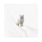 kiryu-mai創造設計の白猫ちゃん バンダナ
