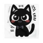 bona fideの開運黒猫　NIGER  ニゲル Bandana