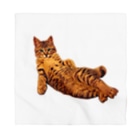 Elegant CatのElegant Cat ③ Bandana