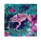 Fantastic FrogのFantastic Frog -Fascinating Version- バンダナ