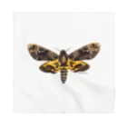 insectech.comのクロメンガタスズメ Bandana