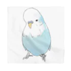 まめるりはことりの可愛いジャンボセキセイインコ【まめるりはことり】 バンダナ