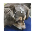 オレンジ　☆oremjiironoshikaの幸せ運ぶ犬 Bandana