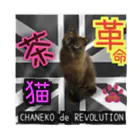 茶猫革命〜Chaneko de Revolution 〜の茶猫革命 バンダナ