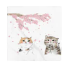 音楽雑貨でぶねこの猫と桜 Bandana