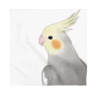 まめるりはことりの見つめるオカメインコちゃん【まめるりはことり】 バンダナ