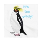 LalaHangeulのRockhopper penguin　(イワトビペンギン) Bandana