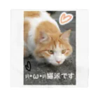 ルキちゃの猫派です グッズ Bandana