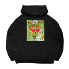 にんにく小豆製作場  のとりさんの神だのみ（tori-2) Big Hoodie