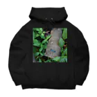 ミクロのルリボシカミキリくん Big Hoodie