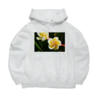 kamakiri3のFlower of the Heart　プルメリア Big Hoodie