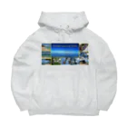 FCS Entertainmentのフリーダムカウンセリングスクール Big Hoodie