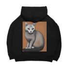 F2 Cat Design Shopのhairless cat 001 Big Hoodie