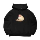 ポニーテールのポニーテール号表ver Big Hoodie