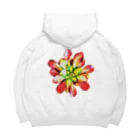 JaachanのSucculents series アエオニウム Big Hoodie