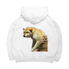 柴犬しばわんこhana873の微妙な表情のもふもふ柴犬しばいぬ Big Hoodie