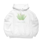 Yuzurium -ユズリウム- 苔テラリウムのネズミノオゴケ【苔グッズ】 Big Hoodie