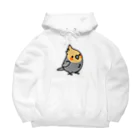 Cody the Lovebirdの（両面）表:オカメインコ　背面：何よりも大切なこと。　それは鳥さんを愛すること Big Hoodie