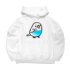 Cody the Lovebirdの両面 Chubby Bird セキセイインコ（表面）鳥さん大集合　背面） Big Hoodie