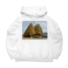 トロールショップの紅葉の季節の並木道 Big Hoodie