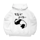 ミナミコアリクイ【のの】の天気がね【パンダ】 Big Hoodie