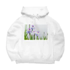 akane_art（茜音工房）の癒しの風景（花菖蒲） Big Hoodie