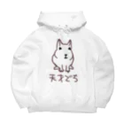 でぐーや　の天才デグー Big Hoodie