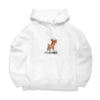 Aiyanのバンビの頂上 Big Hoodie