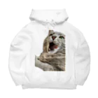 グレージュ猫ロッタン🐈‍⬛のあくびロッタン Big Hoodie