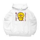 いんこ屋堂のニョオウインコ飼っています Big Hoodie