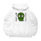 いんこ屋堂のヒメコンゴウ飼っています Big Hoodie