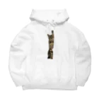 KYONDAのさみしがりごにゃん Big Hoodie