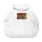 納豆ごはんの色のダンス Big Hoodie