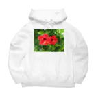 EHMforyouの南国　ハイビスカス　パワースポット Big Hoodie