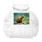 ジャパネットケフィアの可愛いカピバラ Big Hoodie