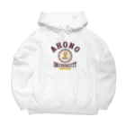 グラフィンのアホの大学 Big Hoodie